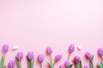 Tulips flowers on a pastel pink background, in a flat lay, space for text, stock photo contest winner, high resolution, stock quality, high detail 