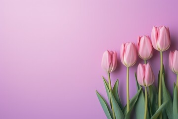 Tulips flowers on a pastel pink background, in a flat lay, space for text, stock photo contest winner, high resolution, stock quality, high detail 