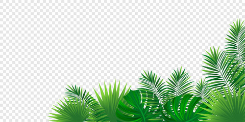 Green amazon border frame with exotic jungle plants, areca palm leaves and place for text. Summer rainforest foliage vector background. Simple tropic design for travel, vacations card and banners. - obrazy, fototapety, plakaty