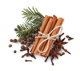Different spices and fir branches on white background, top view