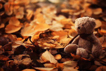 Rear view Teddy bear doll sitting on autum leaves at footpath. Black view lost bear toy looking out...