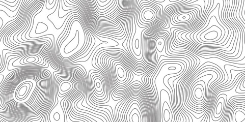 Black and white abstract background vector, Abstract topographic contours map background. Topographic map and landscape terrain texture grid. Salmon fillet texture, fish pattern.