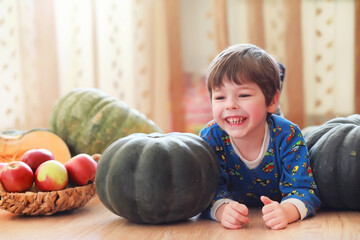 Fototapeta premium Little child choose a pumpkin at autumn. Child sitting on giant pumpkin. Pumpkin is traditional vegetable used on American holidays - Halloween and Thanksgiving Day.