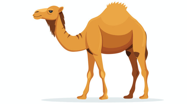 Cartoon camel isolated on white background flat vector