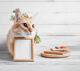 cat whit portrait mockup
