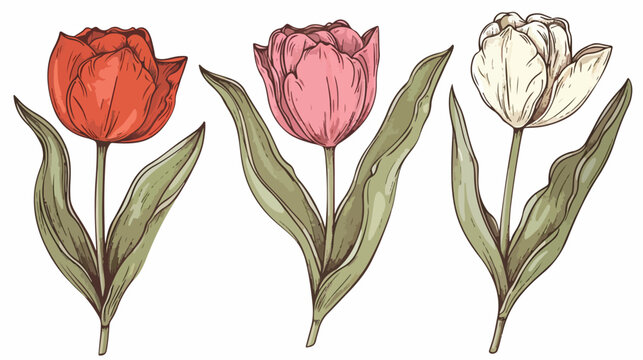 Color graphic set linear engraving drawing of a bouquet