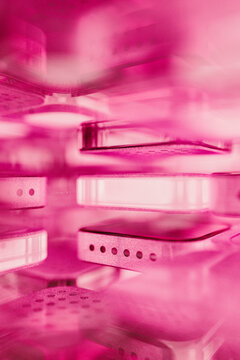Layers of microchip with illuminated pink light