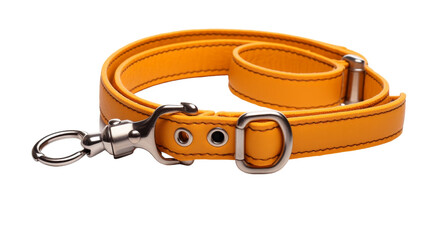 A yellow leash with a metal hook dangles gracefully in the sunlight