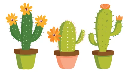 Gartenposter Kaktus im Topf Cute and beautiful cactus for decorationVector flower