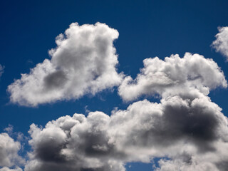 Naklejka na ściany i meble White cumulus clouds in the deep blue summer sky. Fluffy clouds background