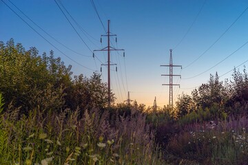 Electric high-voltage line power poles standing in a green field in summer evening. Electricity and energy