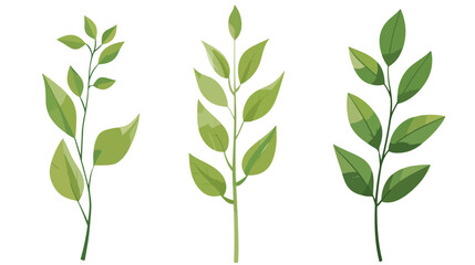 leaves and stem delicate icon isolated flat vector isolated - obrazy, fototapety, plakaty