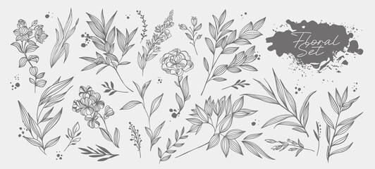 Big set of hand drawing vector floral elements. For invitations, catalogs, greeting cards, quotes, blogs, Souvenirs, wedding frames, posters, brochures