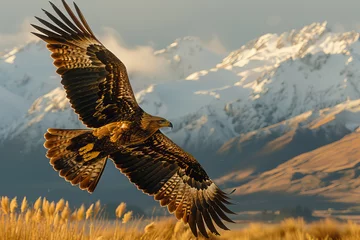 Zelfklevend Fotobehang The imposing Haast's Eagle mid-flight, its shadow cast over the New Zealand landscapes it once ruled © Natalia