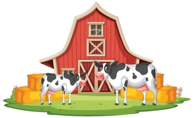 Poster Two cows outside a barn with hay bales. © GraphicsRF
