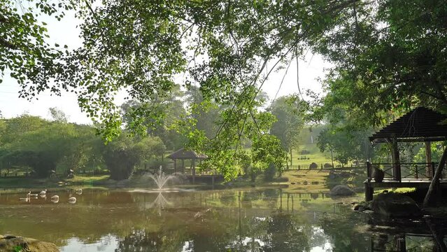 Beautiful morning landscape view of the flamingo pond in Putrajaya Wetlands Park.