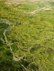 green moss on the rocks