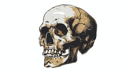 Skull illustration vintage design. Perfect for tshirt