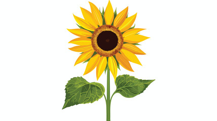 Sunflower icon on a white background.  flat vector isolated