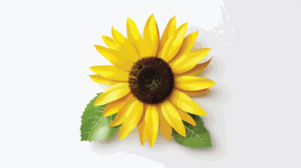 Sunflower icon on a white background.  flat vector isolated