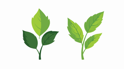 Two leaves eco icon. isolated on white. Vector . Green