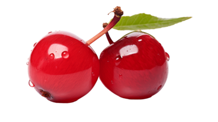 Close-up of two cherries resting on a white background