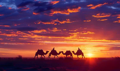 Foto op Aluminium camel in the desert © Basel
