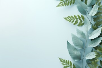 Fototapeta na wymiar Green leaves on light blue background, flat lay with copy space, botanical concept design