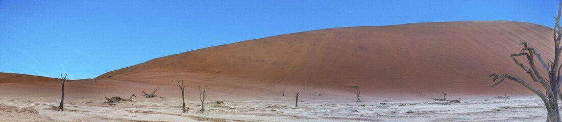 Panoramic picture of the Deadvlei salt pan in the Namib Desert with dead trees in front of red sand...