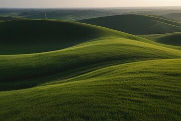 Obraz premium green field in the morning