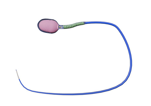 Anatomical diagram of the entire sperm cell. An image with a transparent background.