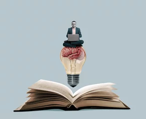 Kussenhoes A student with a laptop sits on a light bulb. Art collage. © svetazi