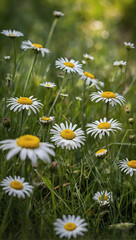 Vibrant tapestry of nature's bounty as meadow flowers and daisies adorn the lush green grass, creating a captivating scene of summer splendor.