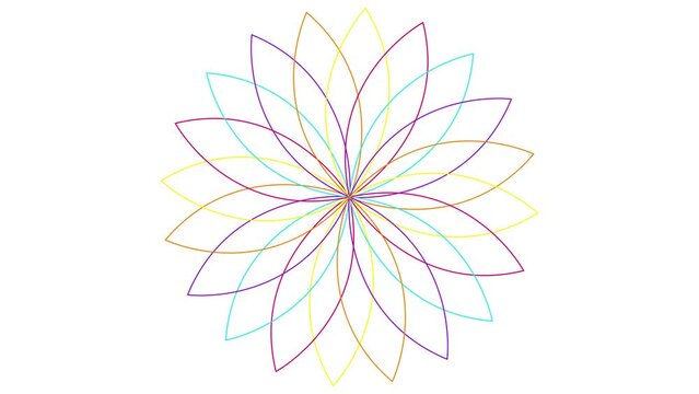 Animated colorful linear flower is drawn gradually. Line symbol of lotus blossom. Concept of spring, yoga, meditation, nature, summer, beauty, gardening. Looped video. Vector illustration isolated on 