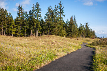 Fototapeta na wymiar The Paved Trail Through Mima Mounds Natural Area Preserve, Nature preserve in Washington State