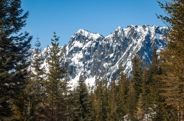 Winter View of Snow Covered Rainier Mount Rainier National in Washington State