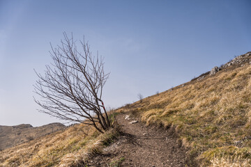 Details of the nature and natural state of the Rtanj mountain in eastern Serbia. Rtanj mountain, also known as the Serbian pyramid with rocks and vegetation.