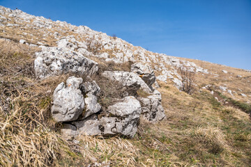 Details of the nature and natural state of the Rtanj mountain in eastern Serbia. Rtanj mountain, also known as the Serbian pyramid with rocks and vegetation.