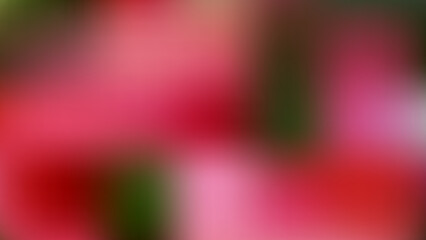 Grainy noise texture gradient background bokeh