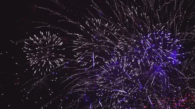 Fireworks in dark sky after celebration. The colors are red, white and blue
