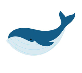 Whale. Underwater marine life - 773859431