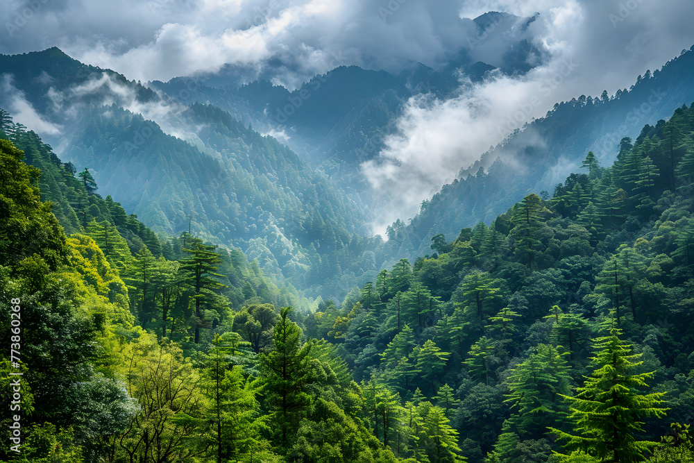 Poster sunlight filters through the clouds over a dense, green mountainous forest, creating a tranquil and 