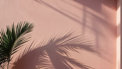 A serene capture of palm tree shadows cast on a warm pink wall as the sun sets, giving a tropical and peaceful feel