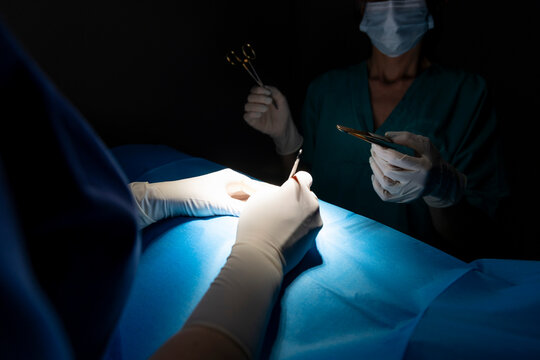 doctor and hospital staff in the operating room, detail of hands with surgical gloves passing surgical instruments during an operation