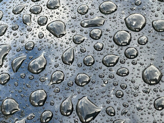 A wet surface with many small water droplets scattered across it