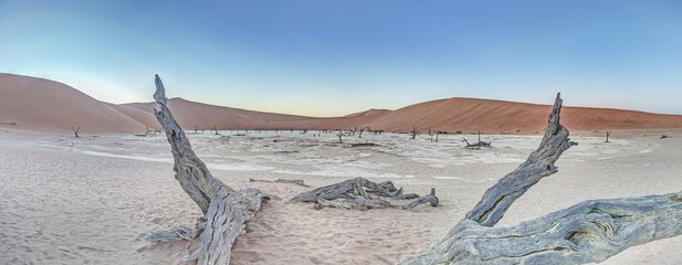 Panoramic picture of the Deadvlei salt pan in the Namib Desert with dead trees in front of red sand dunes in the morning light