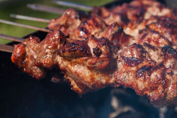The meat is baked on a skewer on a skewer. Skewers background and texture. Delicious meat with skin.