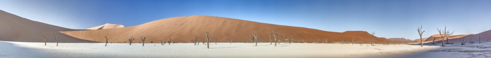 Panoramic picture of the Deadvlei salt pan in the Namib Desert with dead trees in front of red sand dunes in the morning light