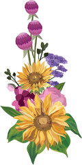 Sunflower illustration on transparent background.
