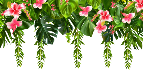 Tropical creeper border hanging with tropical flowers, isolated on transparent background